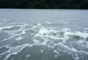 Reflection on a lake representing loss and community support