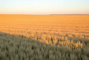 Remote field in Nebraska